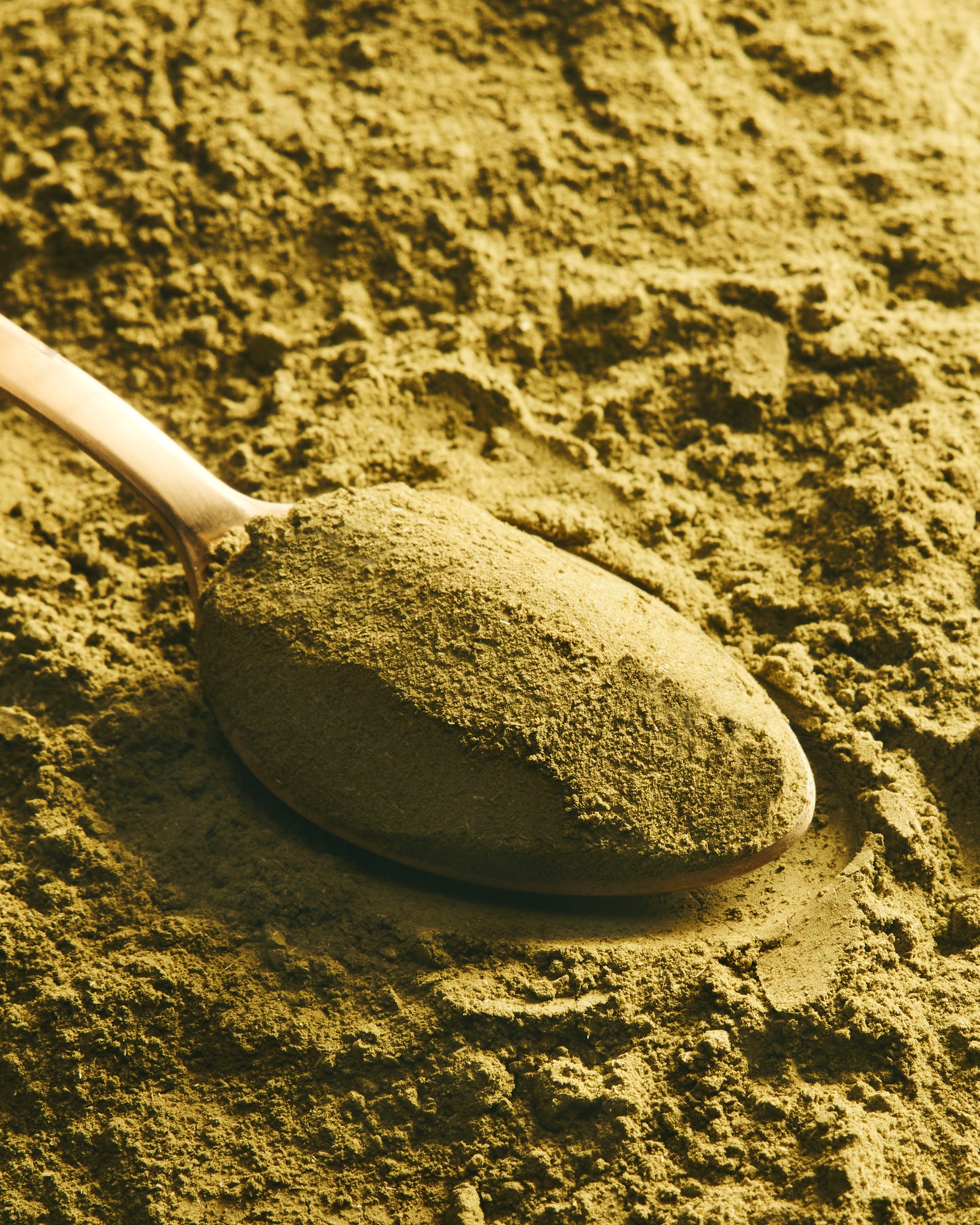 AMAARI Moringa Powder 250g