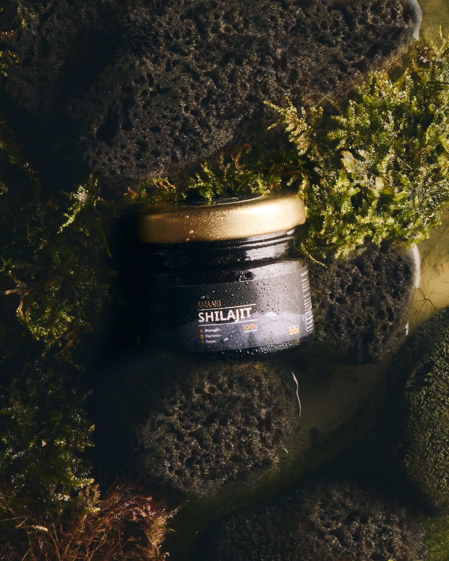 AMAARI Combo Shilajit + Ashwagandha