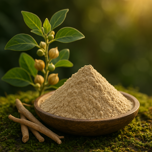 The Royal Herb of Rejuvenation : Ashwagandha